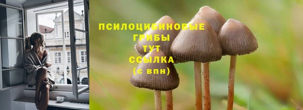 мяу мяу мука Осинники