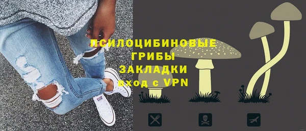амф Пестово