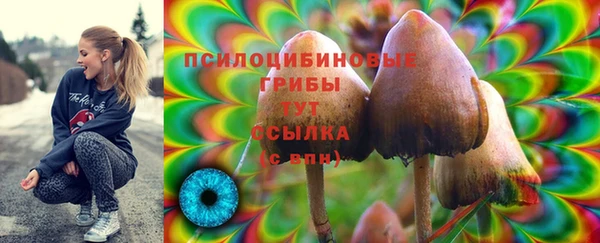 кокс Осташков