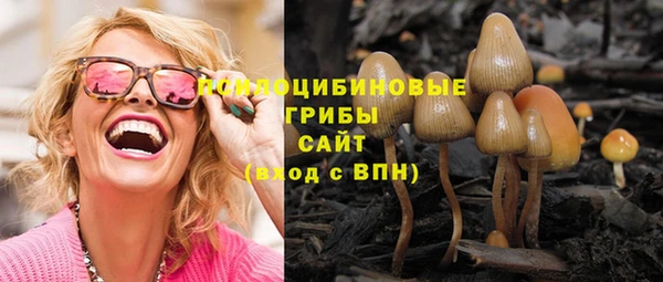 гидра Остров