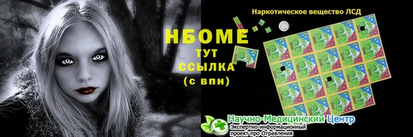 дмт Переславль-Залесский