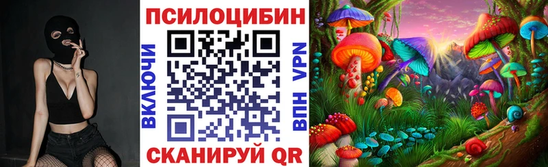 Купить закладки  Сердобск  Псилоцибиновые грибы GOLDEN TEACHER 